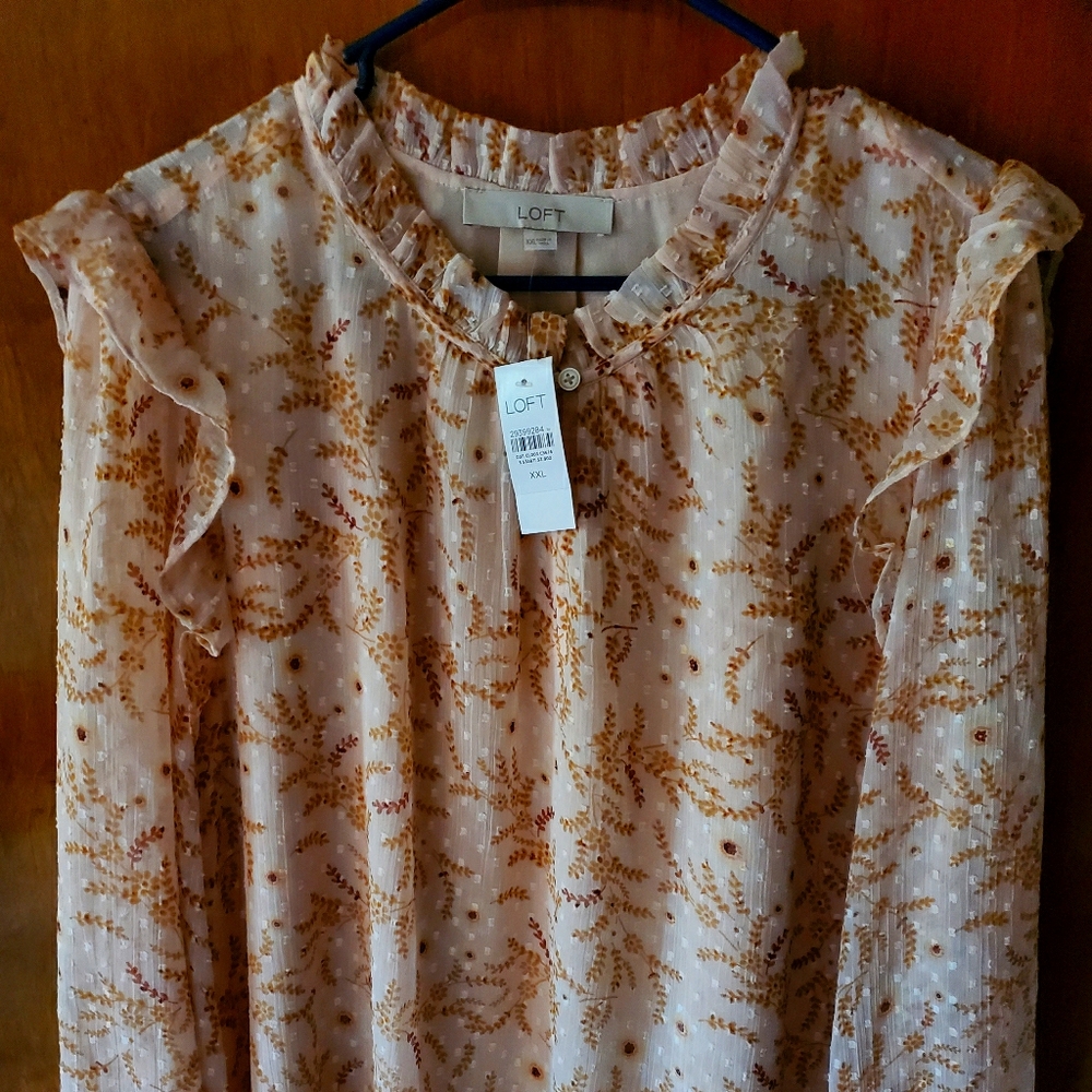Ann Taylor xxl New Fall collection